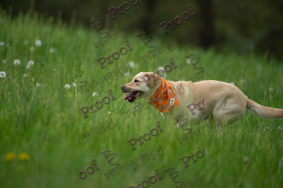 ReedsRescuebyBSPhotography-0920