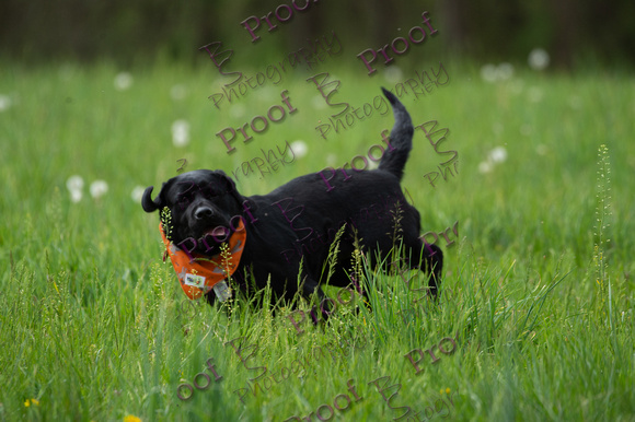 ReedsRescuebyBSPhotography-1305
