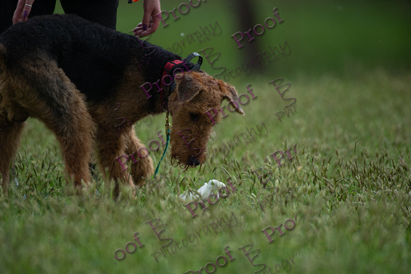 ReedsRescuebyBSPhotography-2543