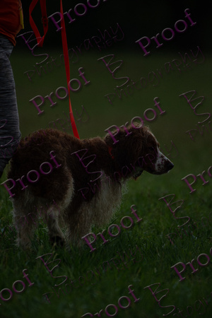 ReedsRescuebyBSPhotography-2504