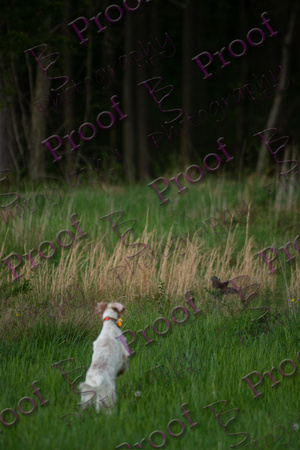 ReedsRescuebyBSPhotography-2357