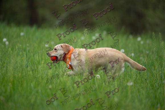 ReedsRescuebyBSPhotography-0988