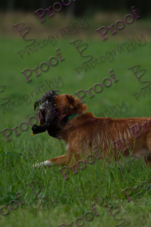 ReedsRescuebyBSPhotography-2910