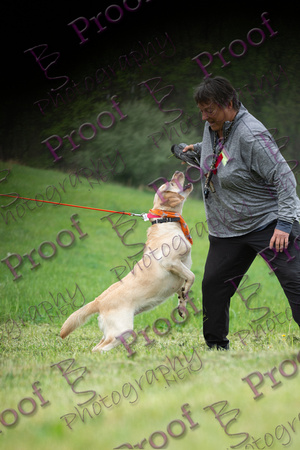 ReedsRescuebyBSPhotography-9796