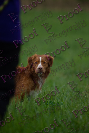 ReedsRescuebyBSPhotography-2914