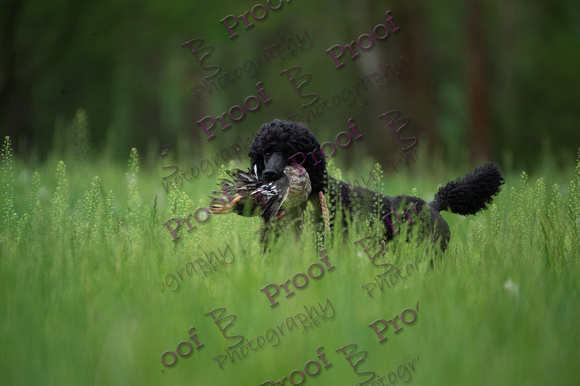 ReedsRescuebyBSPhotography-0343