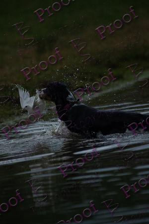 ReedsRescuebyBSPhotography-2491