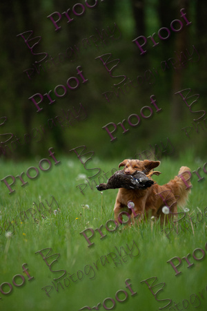 ReedsRescuebyBSPhotography-1557
