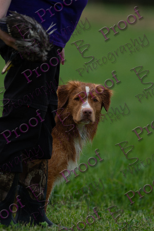 ReedsRescuebyBSPhotography-2902