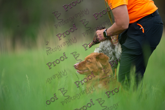 ReedsRescuebyBSPhotography-0114