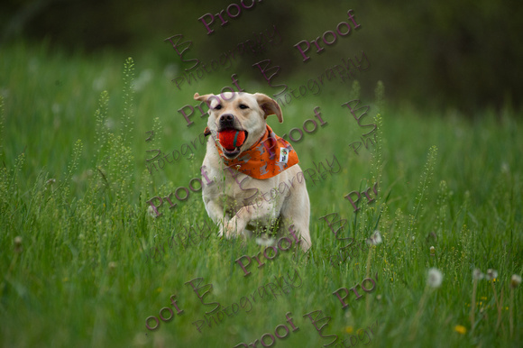 ReedsRescuebyBSPhotography-0891