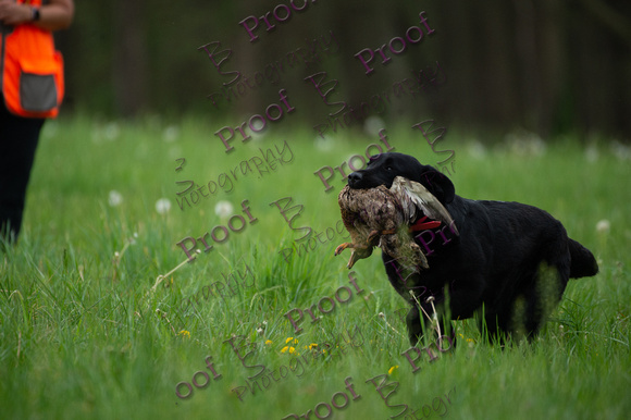 ReedsRescuebyBSPhotography-0777
