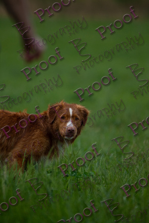 ReedsRescuebyBSPhotography-2912