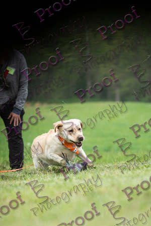 ReedsRescuebyBSPhotography-9800