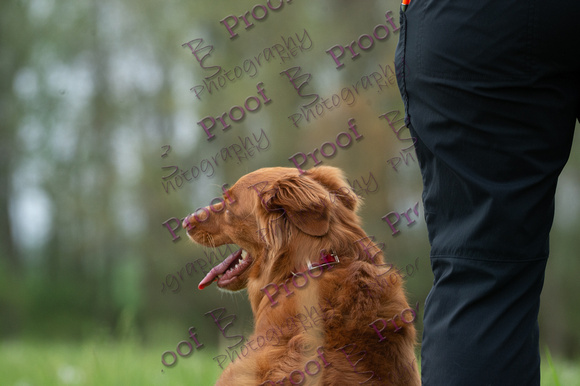 ReedsRescuebyBSPhotography-0148