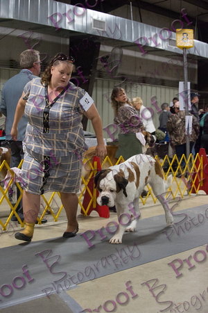 FallfestSaturday2018ProofsbyBSPhotography-2667