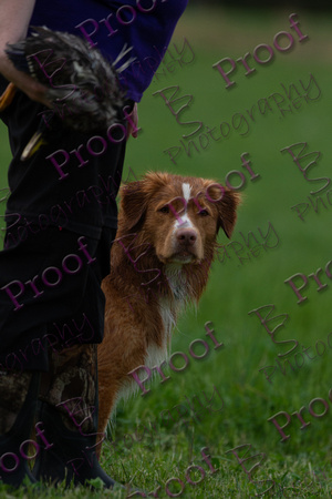 ReedsRescuebyBSPhotography-2901