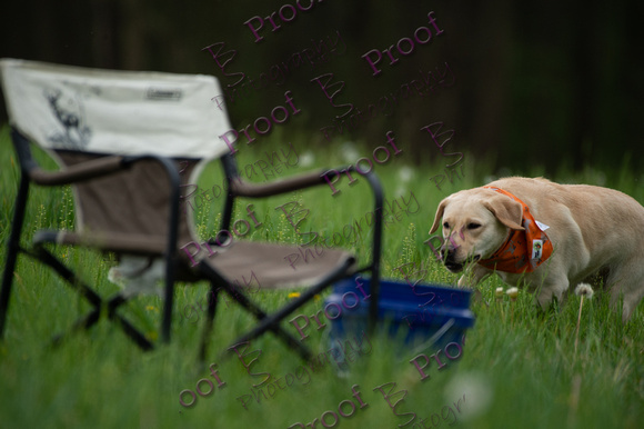 ReedsRescuebyBSPhotography-0875