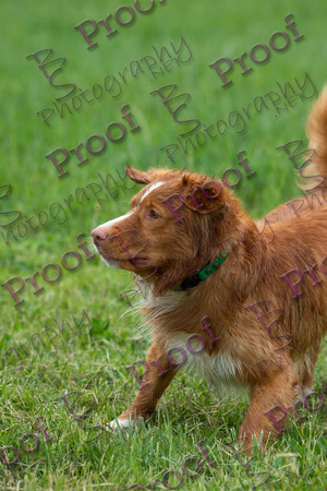 ReedsRescuebyBSPhotography-3003