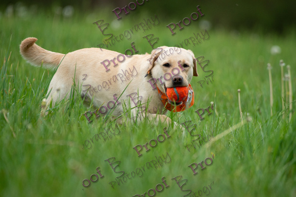 ReedsRescuebyBSPhotography-0858
