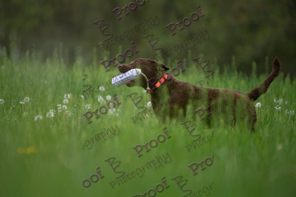 ReedsRescuebyBSPhotography-0698