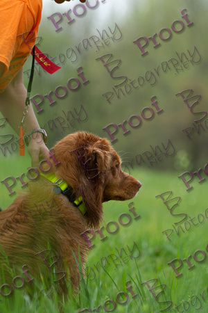 ReedsRescuebyBSPhotography-1012