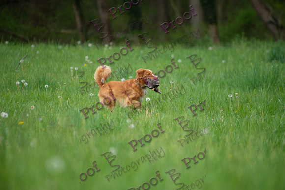 ReedsRescuebyBSPhotography-0194
