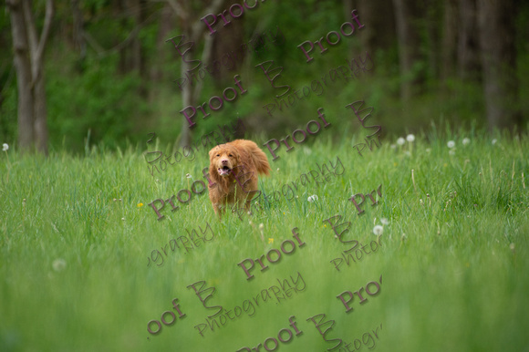 ReedsRescuebyBSPhotography-1021