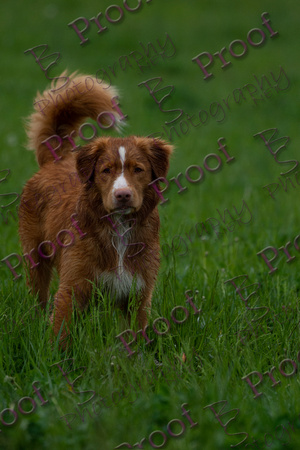 ReedsRescuebyBSPhotography-2958
