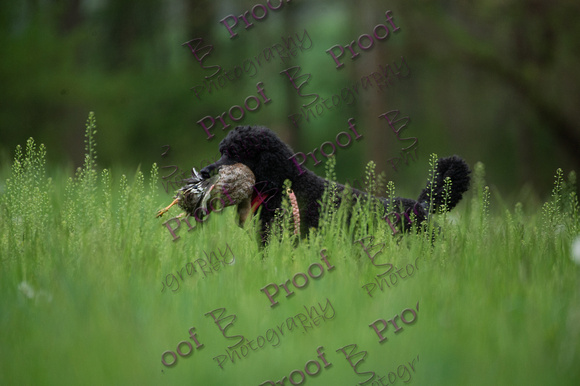 ReedsRescuebyBSPhotography-0341