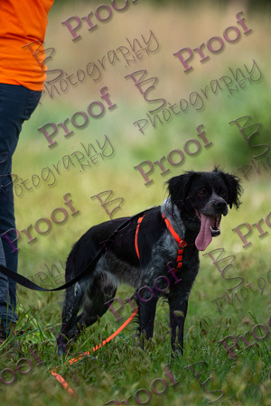 ReedsRescuebyBSPhotography-2200