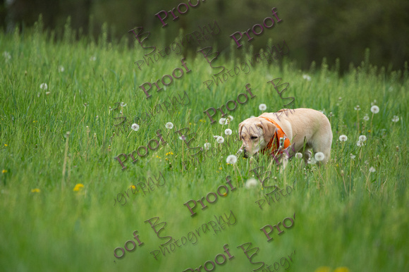 ReedsRescuebyBSPhotography-0842