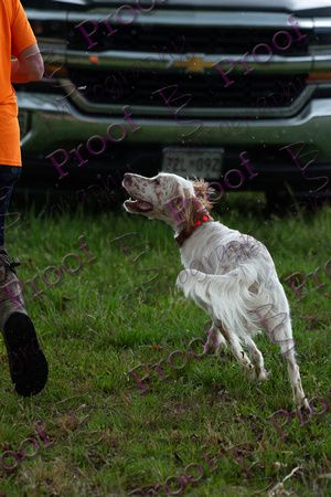 ReedsRescuebyBSPhotography-2405