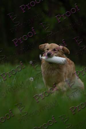 ReedsRescuebyBSPhotography-0563