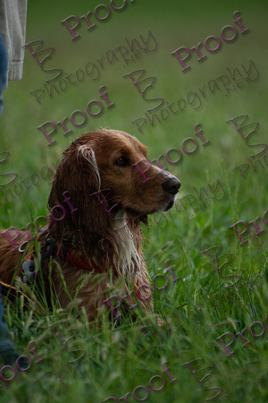 ReedsRescuebyBSPhotography-2518