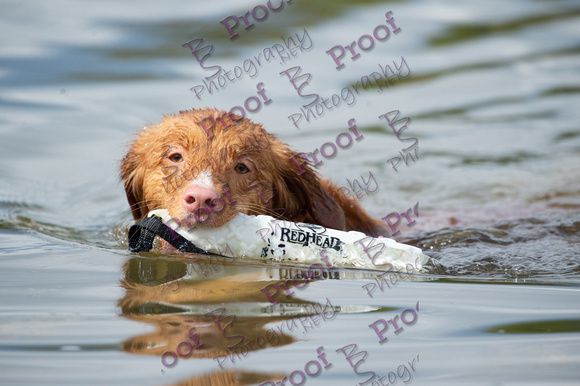 ReedsRescuebyBSPhotography-2854