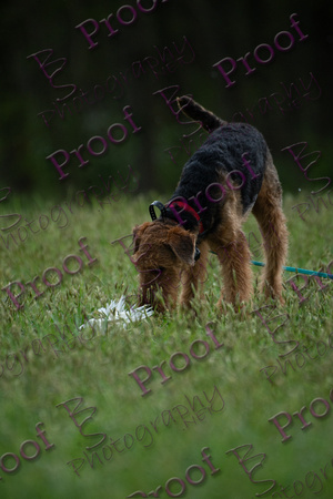 ReedsRescuebyBSPhotography-2529