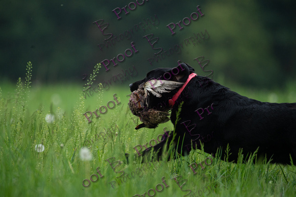 ReedsRescuebyBSPhotography-0797