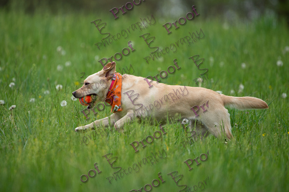 ReedsRescuebyBSPhotography-0994