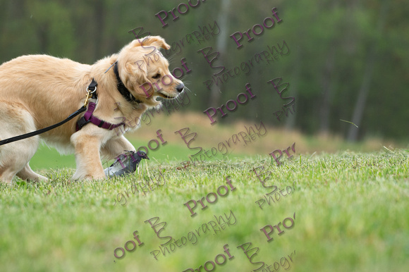 ReedsRescuebyBSPhotography-9672