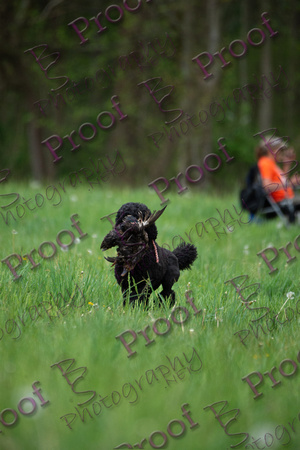 ReedsRescuebyBSPhotography-0308