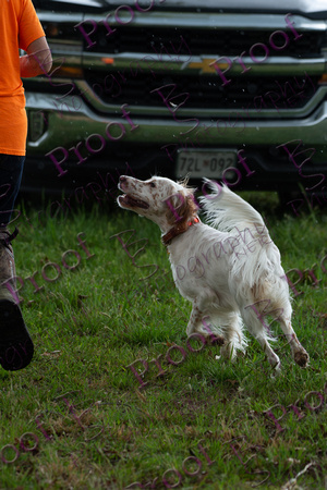 ReedsRescuebyBSPhotography-2406