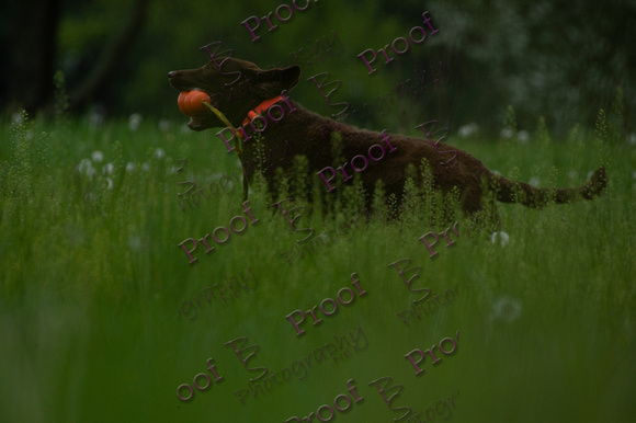 ReedsRescuebyBSPhotography-0659