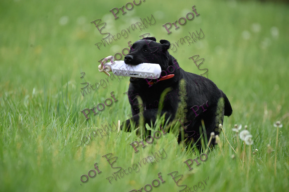 ReedsRescuebyBSPhotography-
