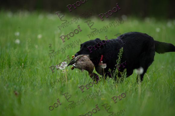 ReedsRescuebyBSPhotography-0758