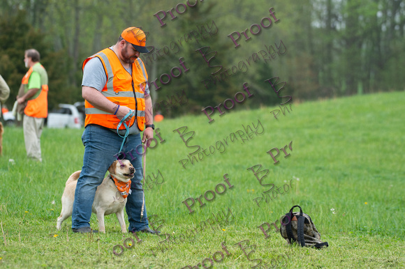 ReedsRescuebyBSPhotography-9771