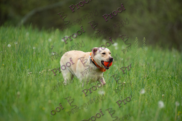 ReedsRescuebyBSPhotography-0853