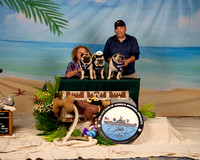 Saturday Oct 7, 2023 Win Photos- Best of Breed and more- PDCA National 2023