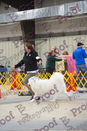FallfestProofsbyBSPhotography-1335