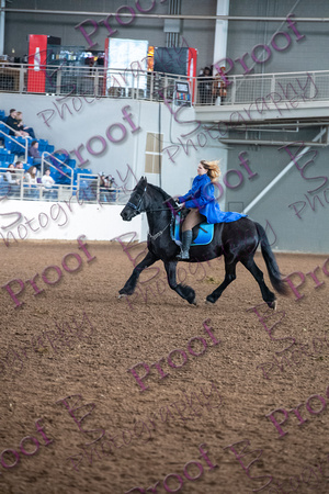 HorseWorldExpo2024byBSPhotography-3381